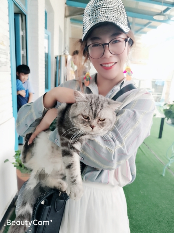 小黑猫的第一张照片--鞍山相亲服务中心