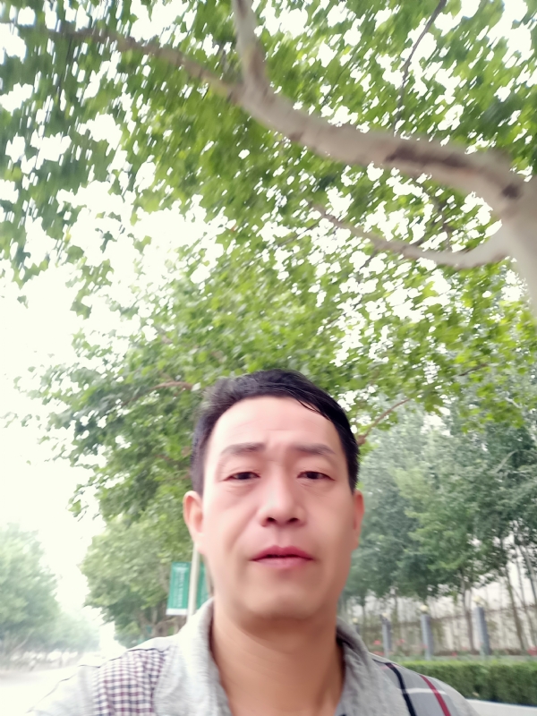 阳光的第一张照片--鞍山相亲服务中心
