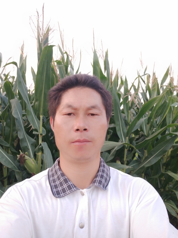 四海游龙的第二张照片--鞍山相亲服务中心