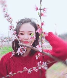 小桌子的第一张照片--鞍山相亲服务中心