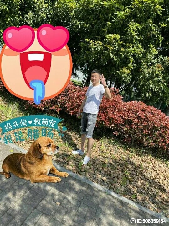 我若不坚强谁替我勇敢的第一张照片--鞍山相亲服务中心